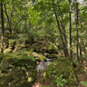 Strudellöcher an der Gottleuba