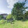 Divo Institute Garden 2