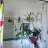 Divo Institute flower bathroom