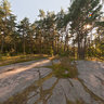 Petroglyphs at Horsahallen