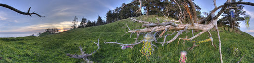 Digital Organics Jellyfish at Ecola Park