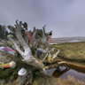 Seaside Estuary with Jellyfish on Driftwood