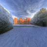 York Uni