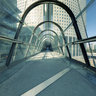 the bridge