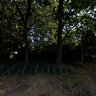 Natuureservaat Rammelaars, Ham - Kwaadmechelen
