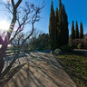 Massandra park - Yalta Intourist