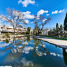 Primorsky park - pool
