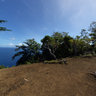 Cobia Crater Top