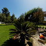 Whispering Pine Tea House 