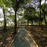 Stone path at Villa Lobos Park