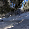 Feldberg im Taunus - Rodelbahn