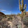 Javelina Rocks
