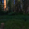 General Grant Grove, Sequoia National Park, California