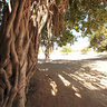 Kish Island, Persian Gulf, Iran