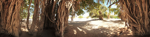Kish Island, Persian Gulf, Iran