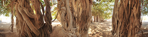 Kish Island, Persian Gulf, Iran