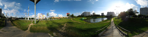 Minor Chertanovsky Pond