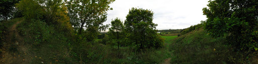 Kolomenskoe