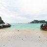 Phiphi Monkey