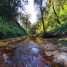 Golden stream Sapa