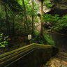 Entrance To The Huong Tich Cave