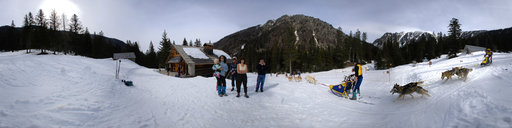 Chien De Traineau Boreon Saint Martin Vesubie