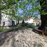 Kaditzer Linde - Oldest Tree In Dresden, Germany