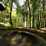 Sophienplatz, ilmenau, Thuringia, Germany
