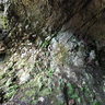 Großer Hermannstein - Goethes Cave, Ilmenau, Manebach