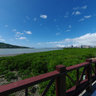 Hongshulin Bicycle Sidewalk(Mangrove Ecosystem)