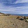 Camels near The Canyon divesite in Dahab, Sinai