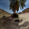 Colored Canyon Wadi