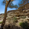 Secret Canyon - Wadi