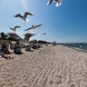 Feeding Seagulls in Zingst, Germnay