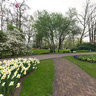 Keukenhof
