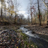 On Lower Mill Creek
