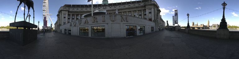 5 County Hall