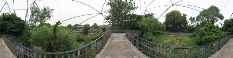 5 London Zoo
