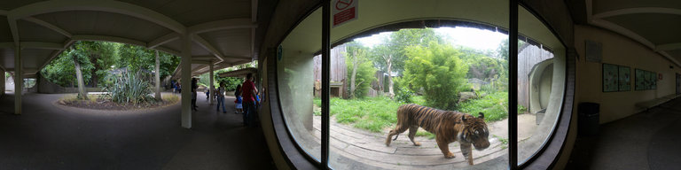 5 London Zoo