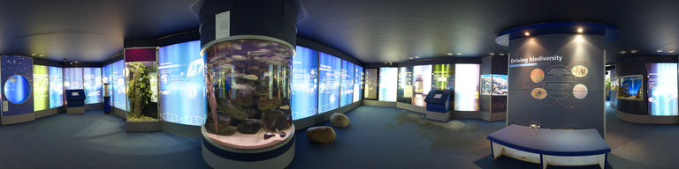 5 London Zoo
