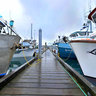 Fishing Boats at Harbor  in Valdez, Alaska 2