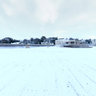 Exmouth Snowy Seashore