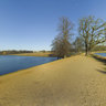 Pen Ponds Richmond Park
