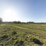 Richmond Park - Sawyers Hill