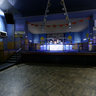 Disco Paladium Hodonin