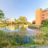 Library Pond Exterior