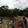 Sorting Coffee Berries near Santiago - Lake Atitlan, Guatemala
