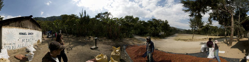 Sorting Coffee Berries near Santiago - Lake Atitlan, Guatemala