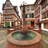 Im Kirschgarten, Mainz