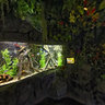 Aquarium Houston Texas